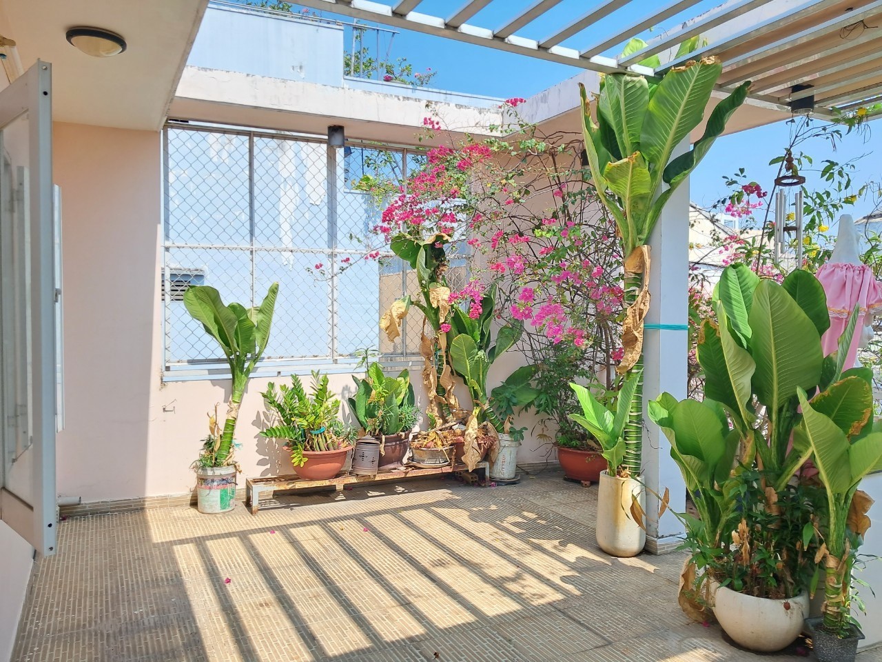 Bán nhà hẻm đường Thích Quảng Đức, Phú Nhuận - ảnh 6