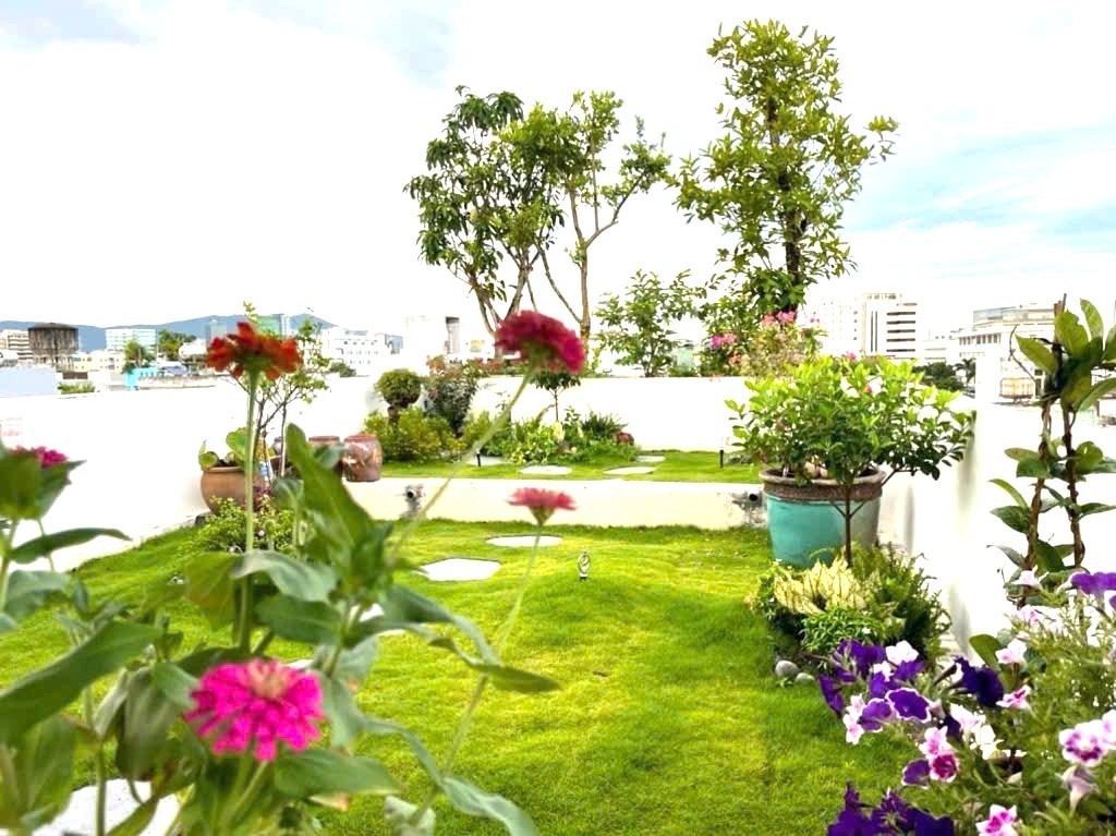 THI SÁCH 75.5m², 5 tầng, ngang 5m, dài 15.5m, giá 14.8 tỷ, Hải Châu