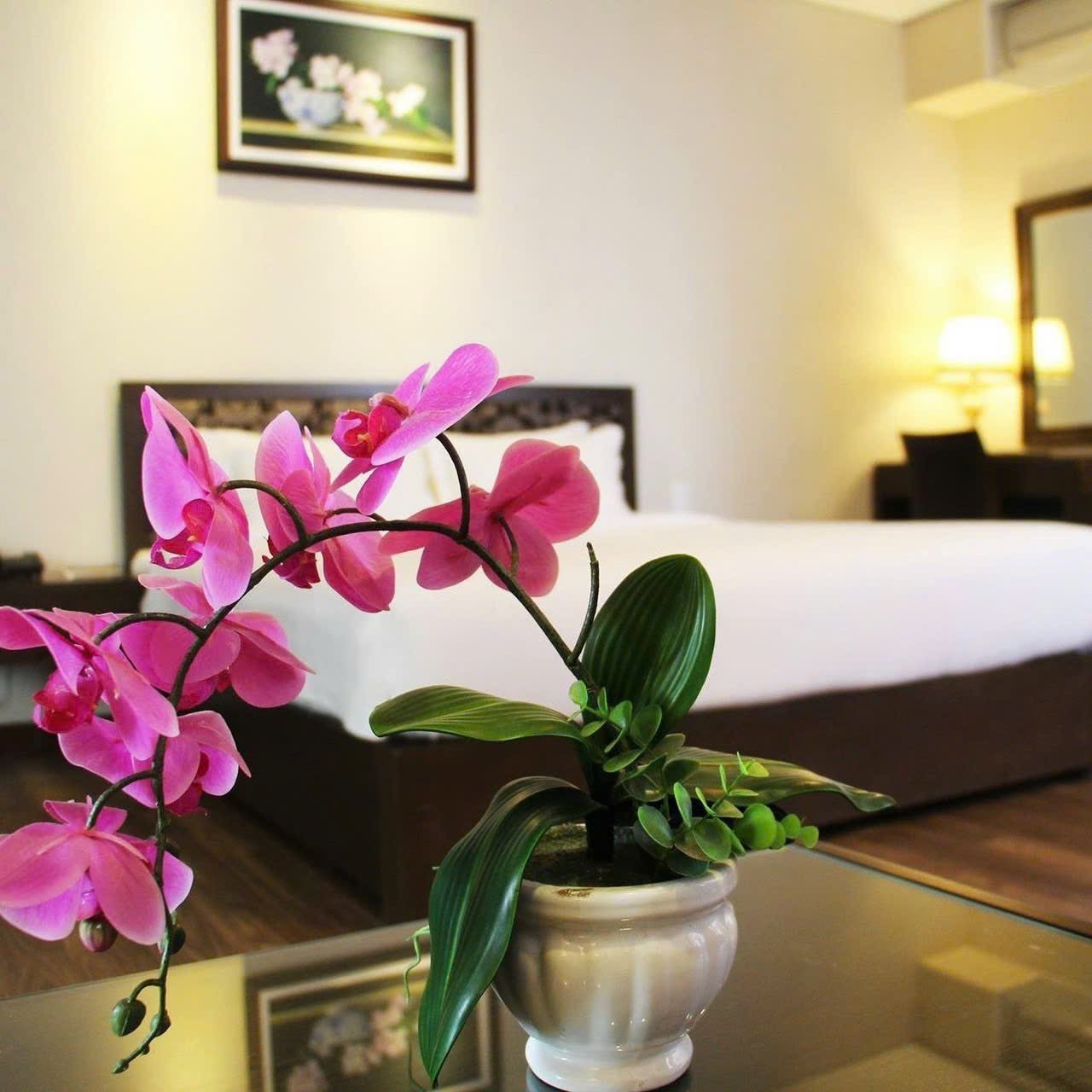 ĐÔNG KINH NGHĨA THỤC 606.7 12m², 5 tầng, ngang 19m, dài 32.07m, giá 300 tỷ, Sơn Trà Đại tỷ phú