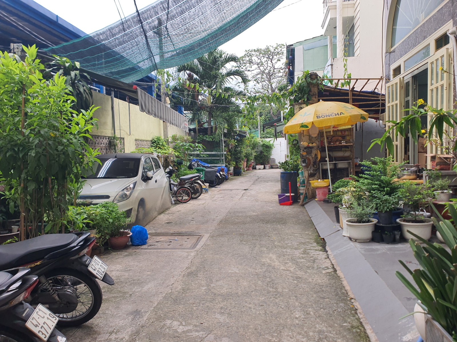 Bán nhà đường Thành Thái, Quận 10 - ảnh 2
