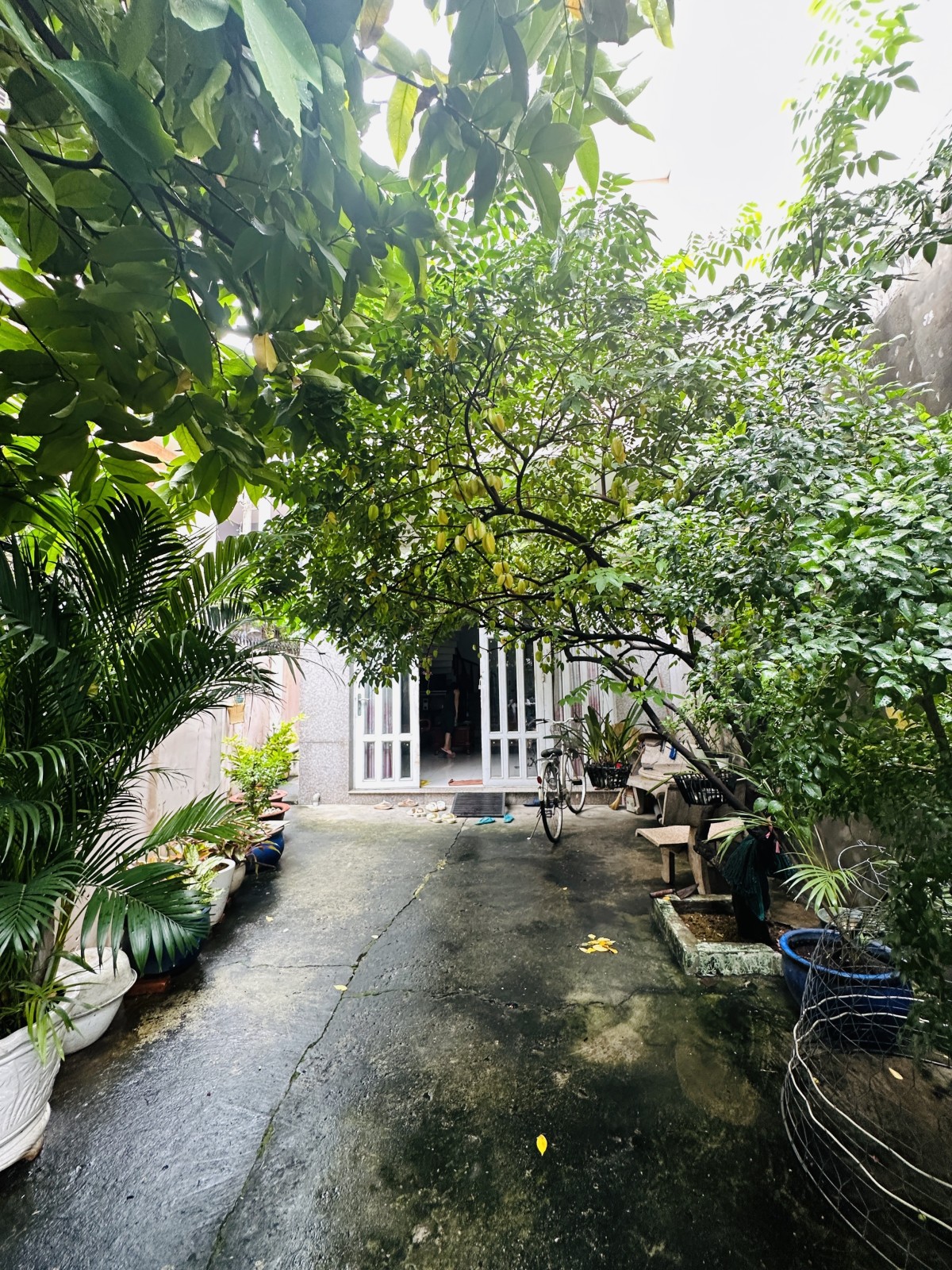 Bán nhà đường Nguyễn Đình Chính, Phú Nhuận - ảnh 7