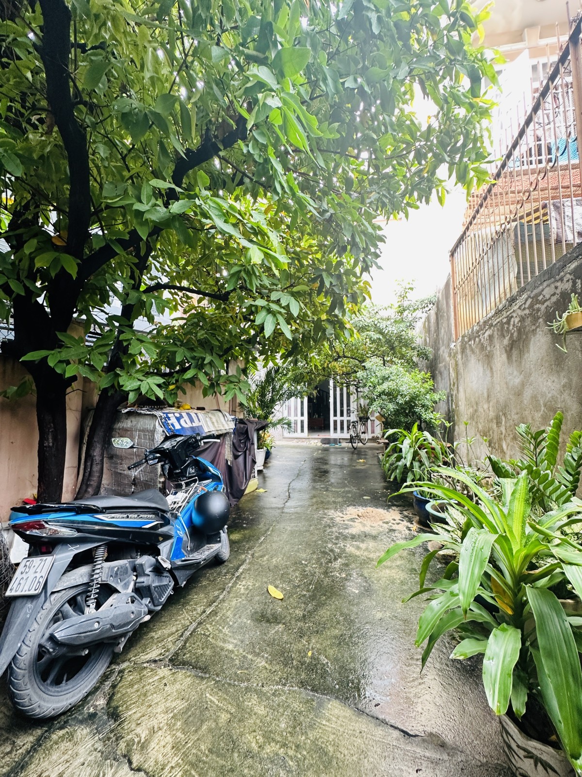 Bán nhà đường Nguyễn Đình Chính, Phú Nhuận - ảnh 3
