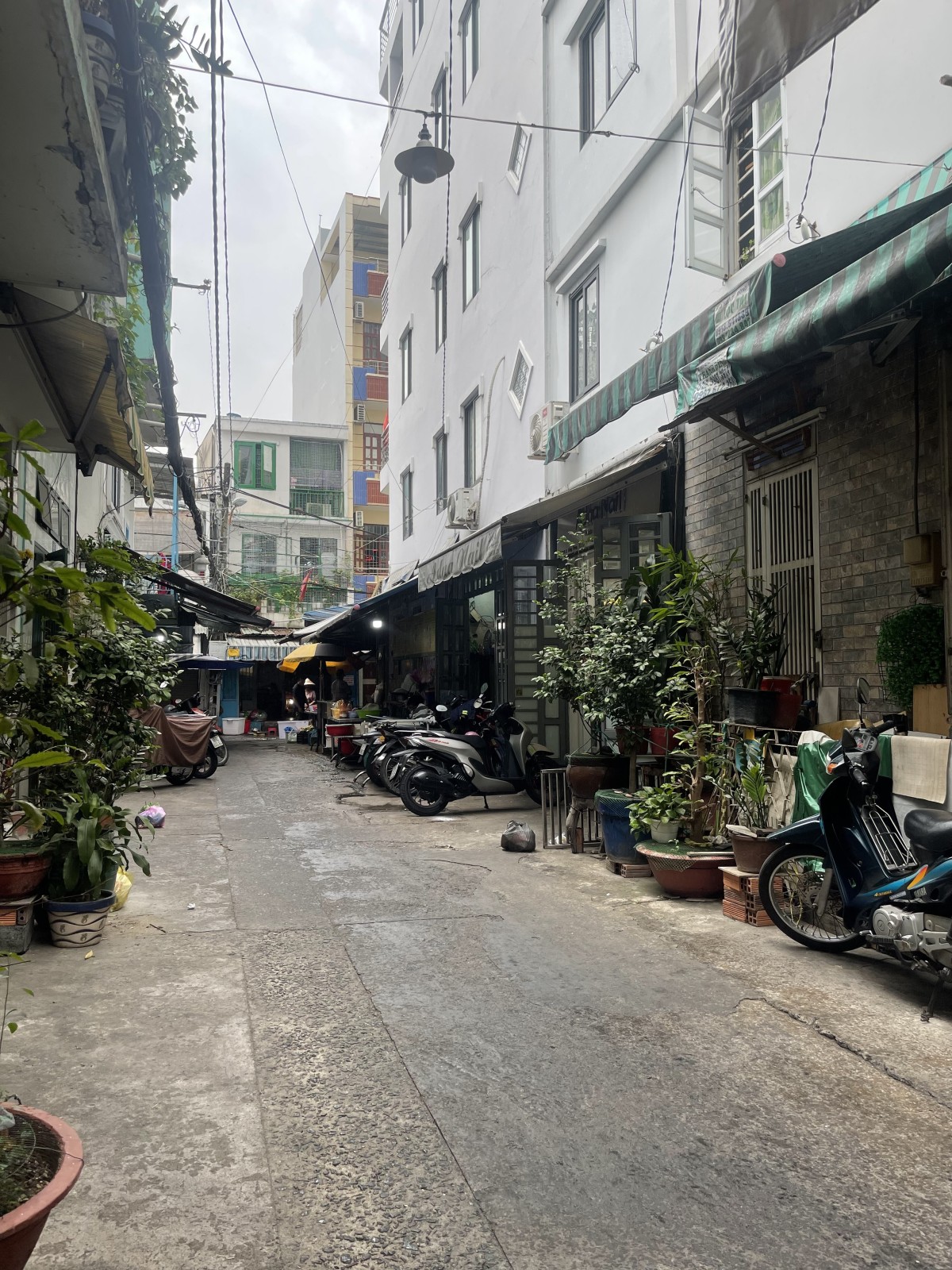 Bán nhà đường Lê Hồng Phong, Quận 10 - ảnh 2