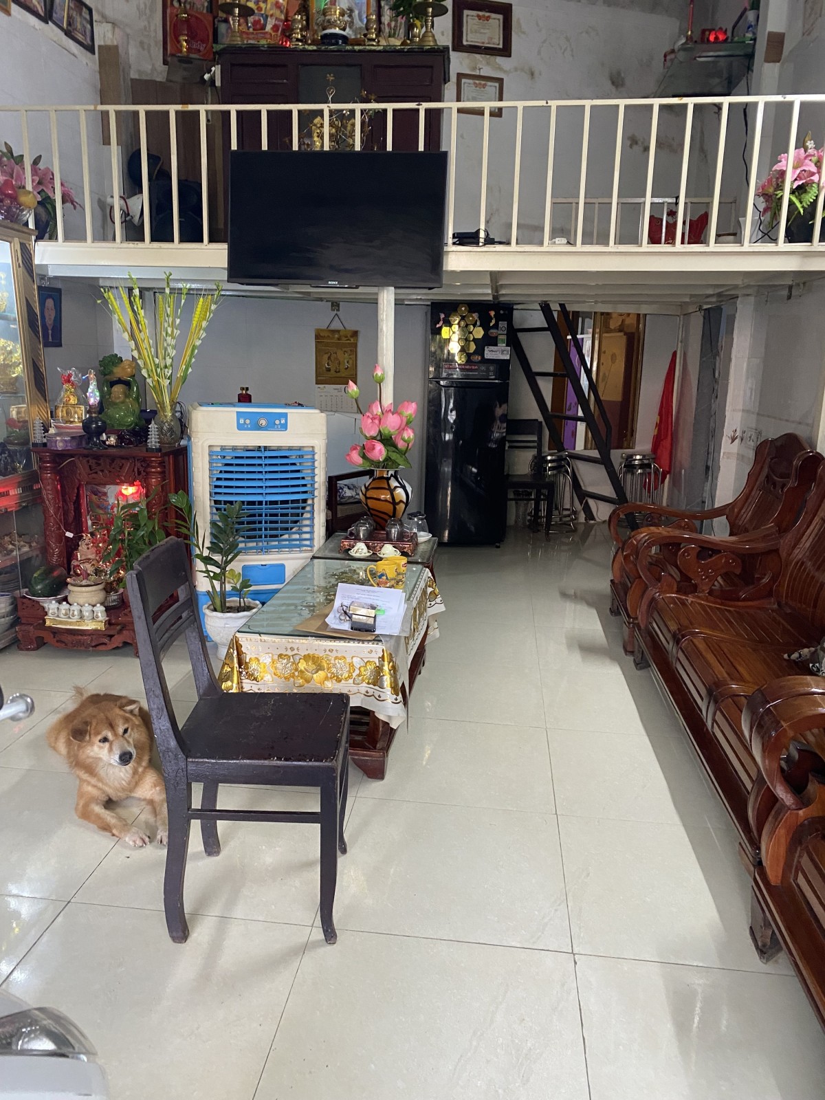 NÚI THÀNH 154.7m², cấp 4, ngang 5m, dài 30m, giá 8.5 tỷ, Hải Châu