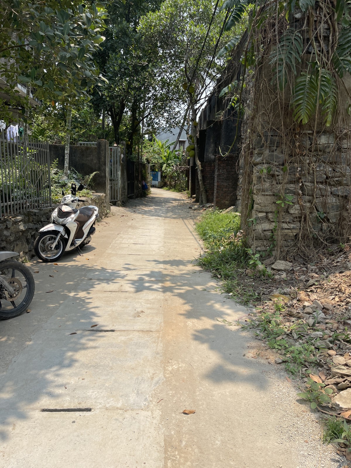 (THỬA 973 TỜ 243 ) HOÀ XUÂN 200m², ĐẤT, ngang 5m, dài 40m, giá 3.2 tỷ, Hòa Xuân