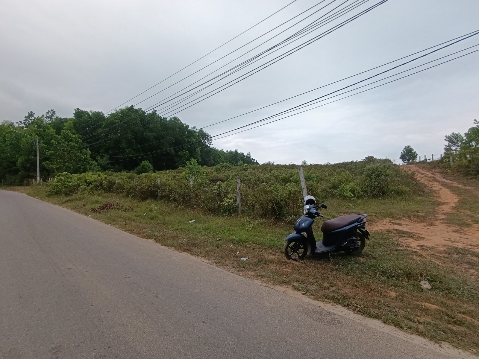 THÔN ĐÔNG SƠN XÃ HÒA NINH 8270m², ĐẤT, giá 5.8 tỷ, Hòa Vang