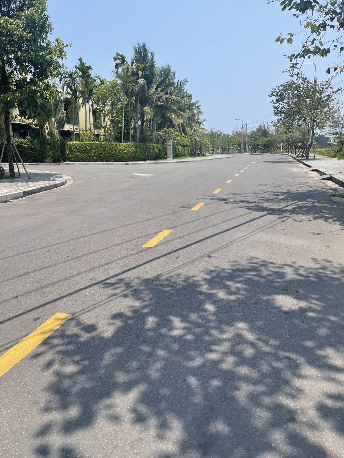 ĐỒNG NÀ TRÀ QUẾ 204.4m², ĐẤT, ngang 7m, dài 29.30m, giá 6.5 tỷ, Hội An