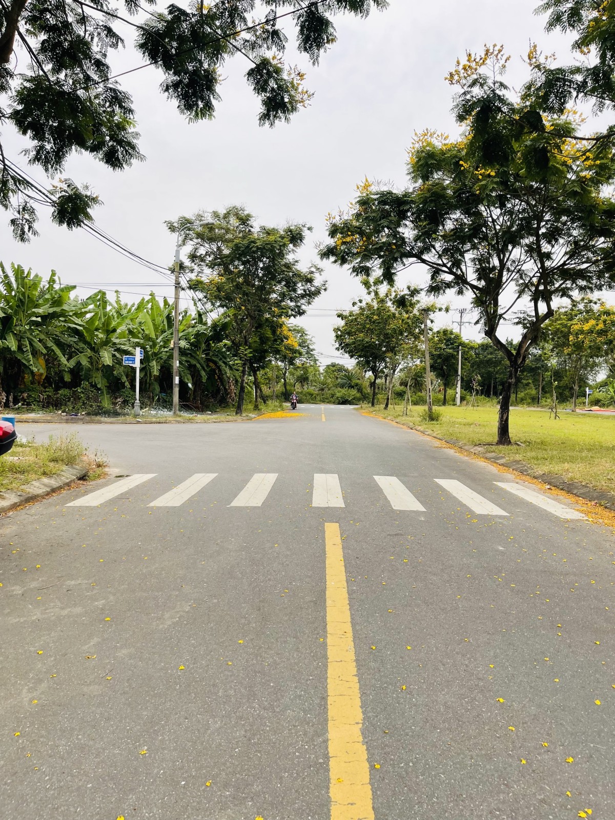 BAN BAN 15 100m², ĐẤT, ngang 5m, dài 20m, giá 4.65 tỷ, Ngũ Hành Sơn