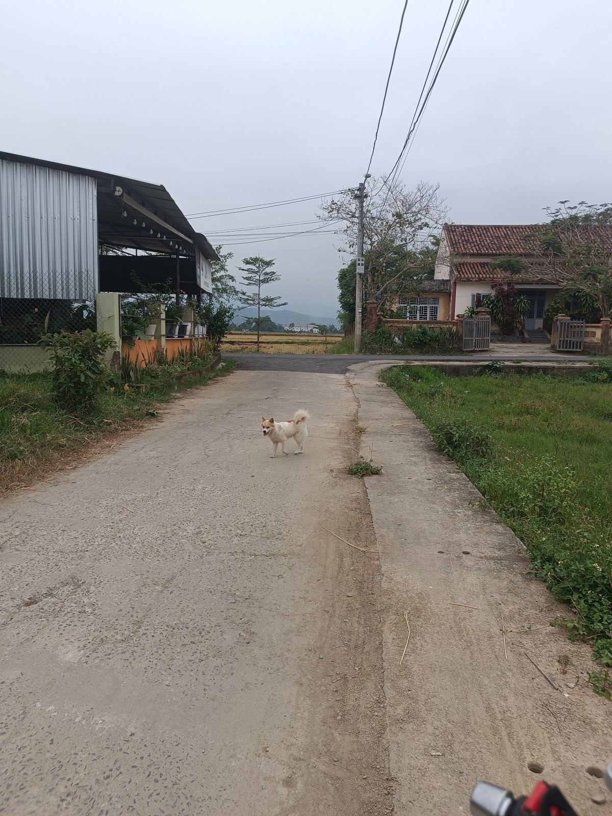 AN TRẠCH 597m², ĐẤT, ngang 20m, dài 35.3m, giá 4.15 tỷ, Hòa Vang