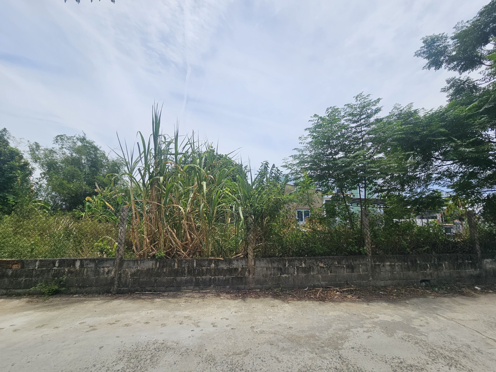 TÂN HẠNH 133m², ĐẤT, ngang 7m, dài 16m, giá 2.2 tỷ, Hòa Xuân