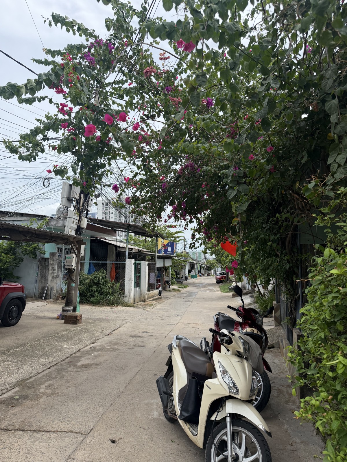 ÂU CƠ 100m², ĐẤT, ngang 4.4m, dài 22.7m, giá 2.9 tỷ, Liên Chiểu