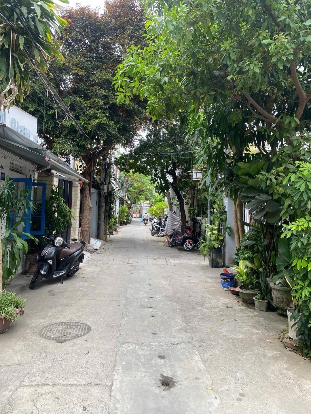 ĐẶNG VŨ HỶ 122m², ĐẤT, ngang 6.4m, dài 19m, giá 11.8 tỷ, Sơn Trà