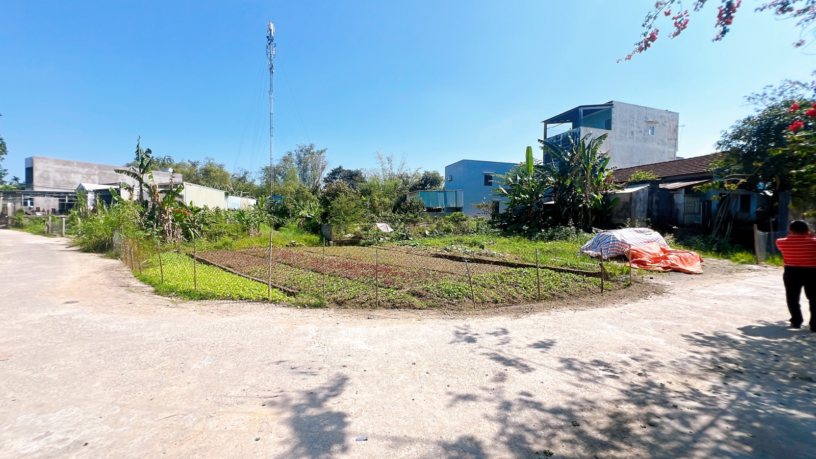 THẠCH BỒ - HOÀ TIẾN 120m², ĐẤT, ngang 8m, dài 15m, giá 1.65 tỷ, Hoà Vang