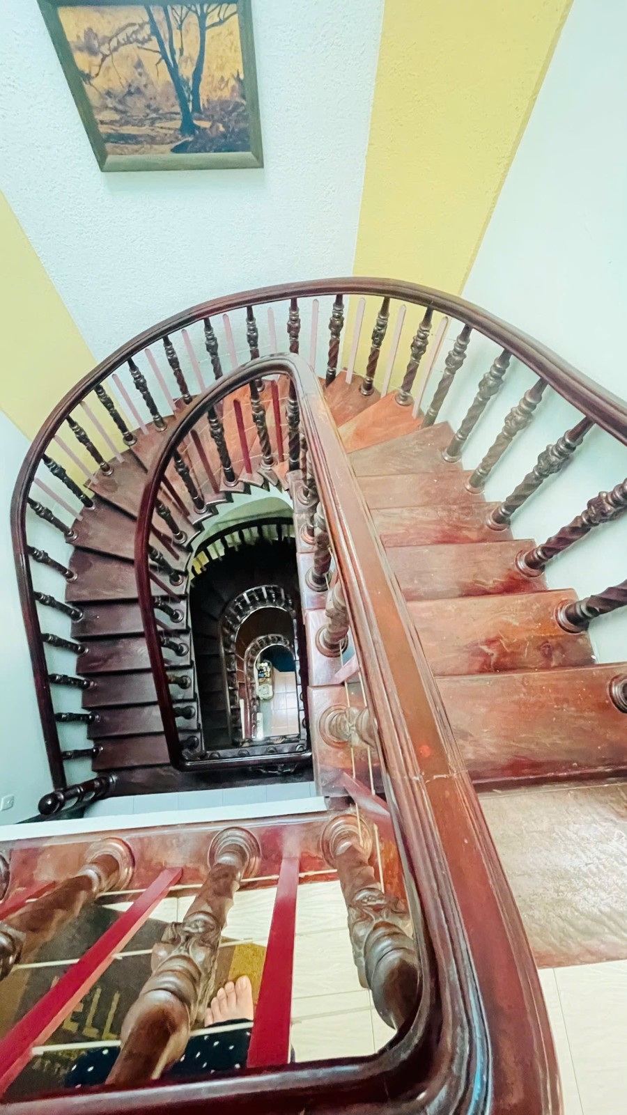 Bán nhà hẻm 83 Bạch Đằng, Tân Bình - ảnh 5