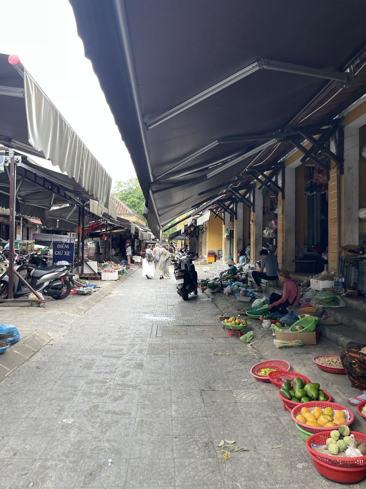 BẠCH ĐẰNG 195m², 2 tầng, ngang 8.1m, dài 18.5m, giá 39 tỷ, Hội An